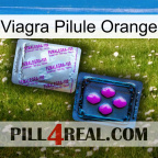 Viagra Orange Pill 37